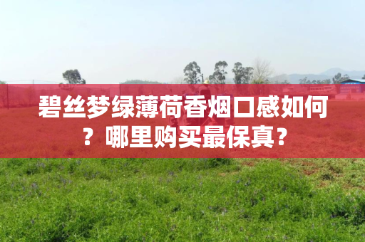 碧丝梦绿薄荷香烟口感如何？哪里购买最保真？